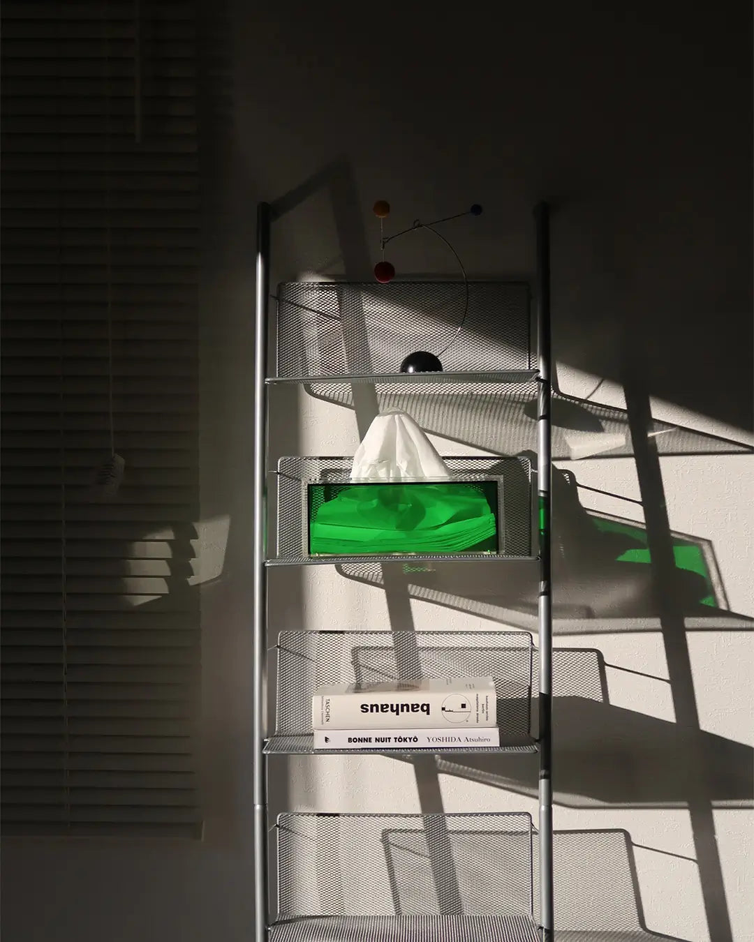 Modern colorful tissue box