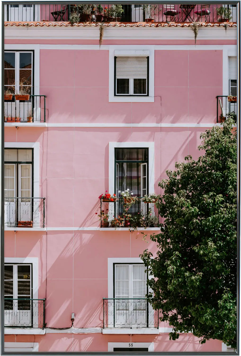 Immeuble en rose