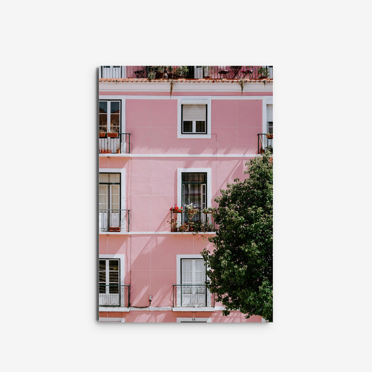 Immeuble en rose