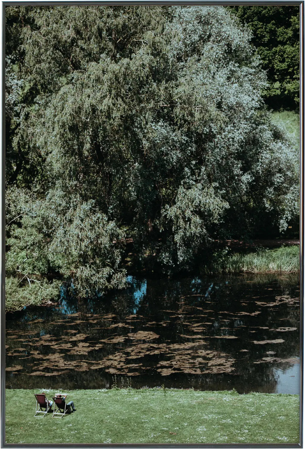 アートフォトポスター「Enough rest（十分な休息）」ブラックフレーム｜イギリス田舎の深い緑の森