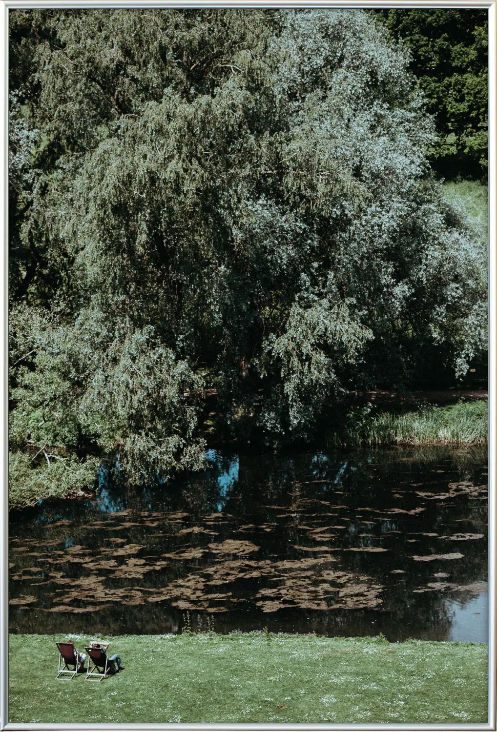 アートフォトポスター「Enough rest（十分な休息）」シルバーフレーム｜イギリス田舎の深緑の森風景