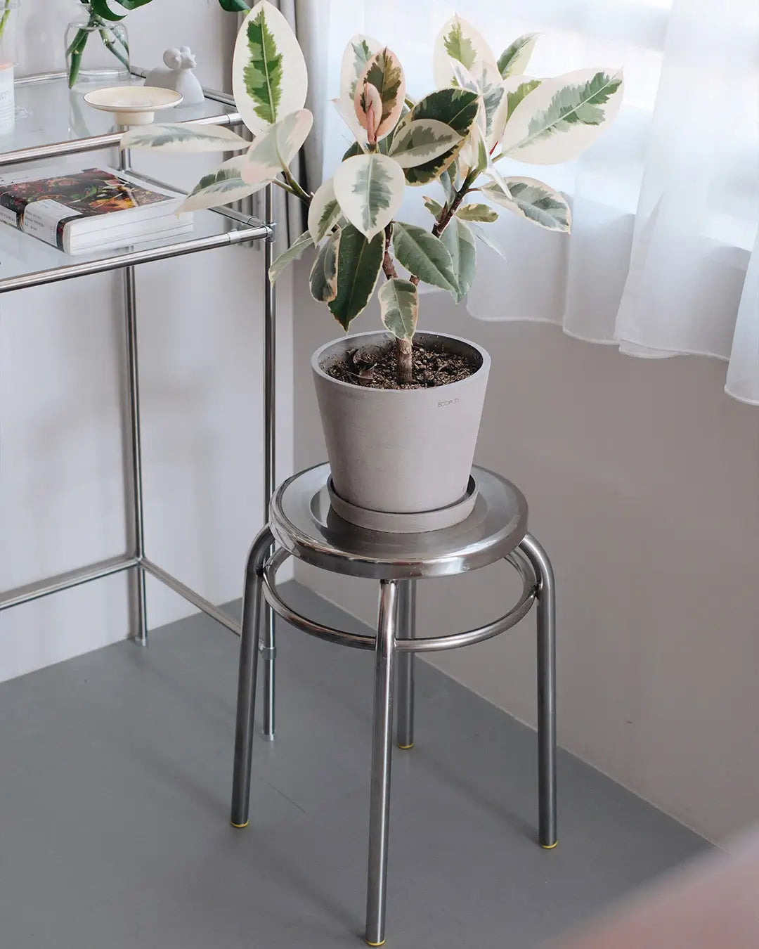 ステンレス丸スツールに観葉植物を置いたインテリア例