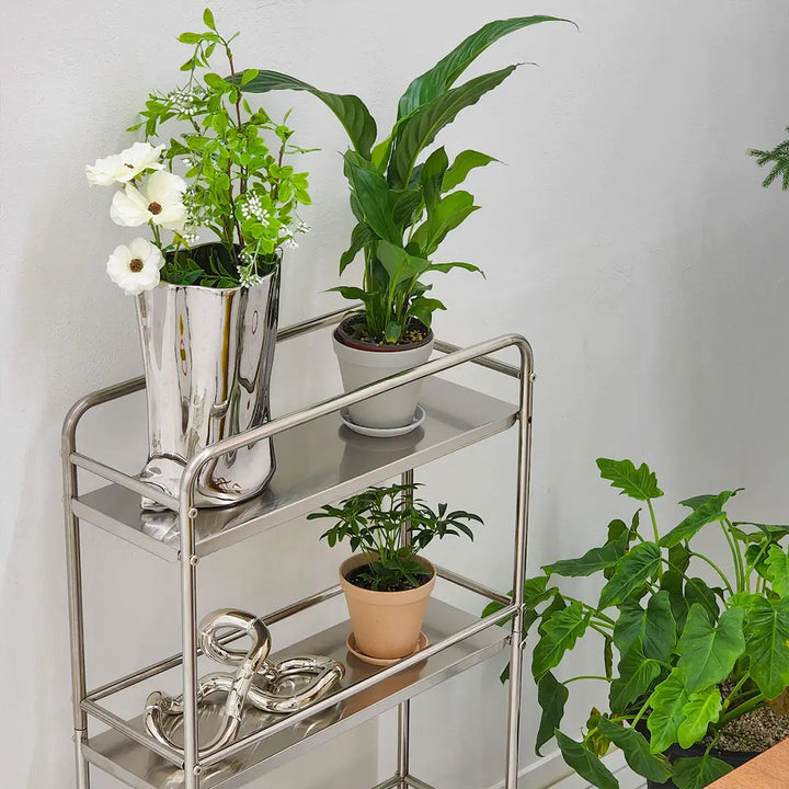 Mid-century stainless steel movable trolley
