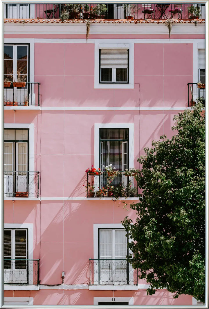 Immeuble en rose