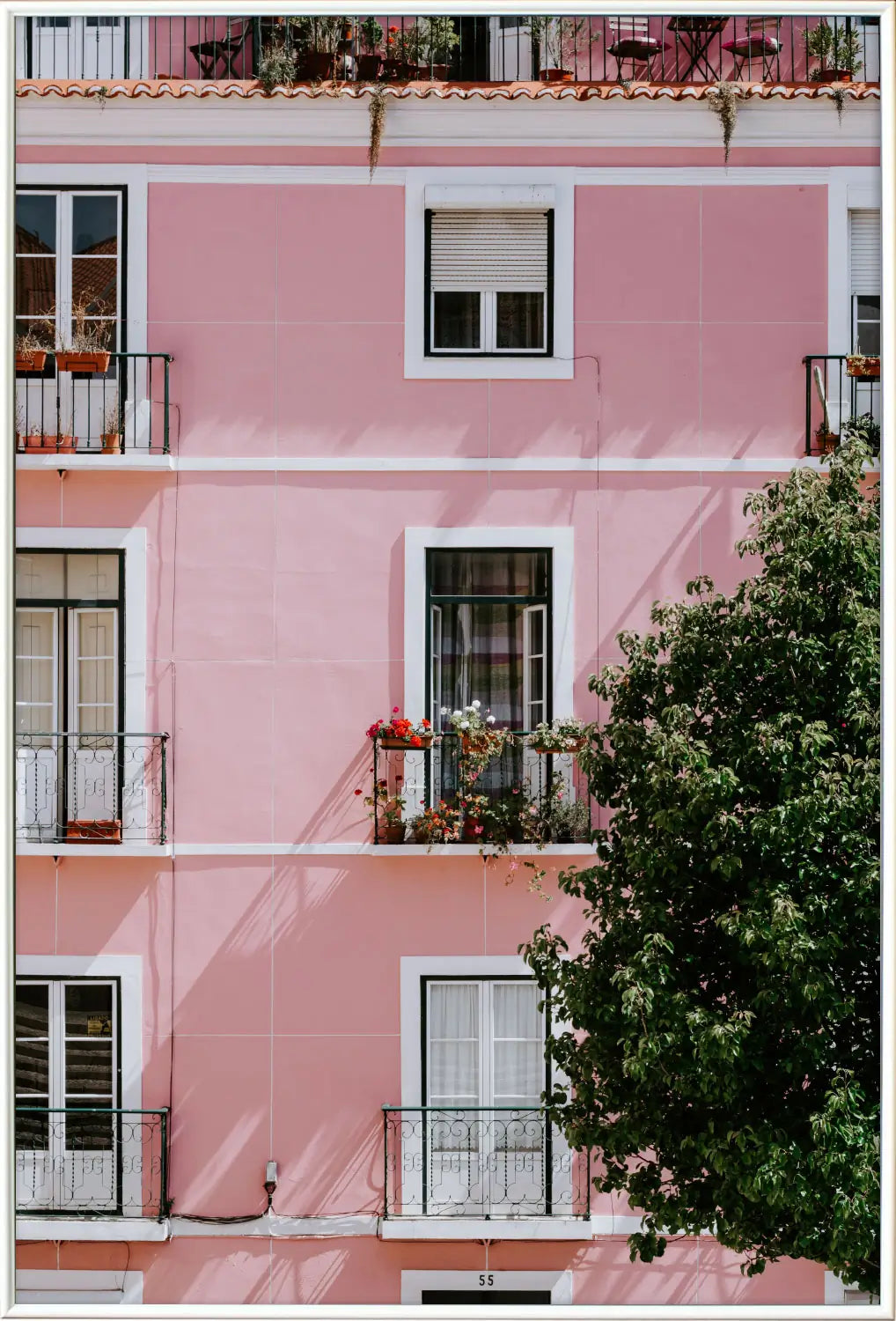Immeuble en rose